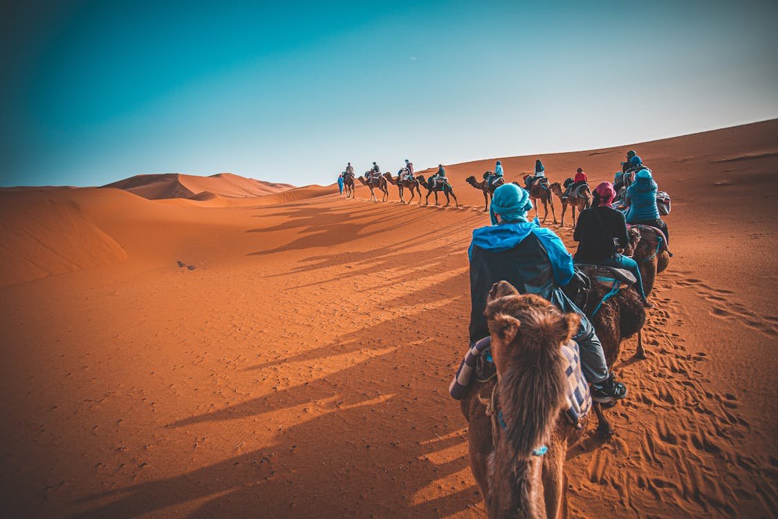 Caravana de camellos cruzando las dunas del Sahara en Marruecos al atardecer