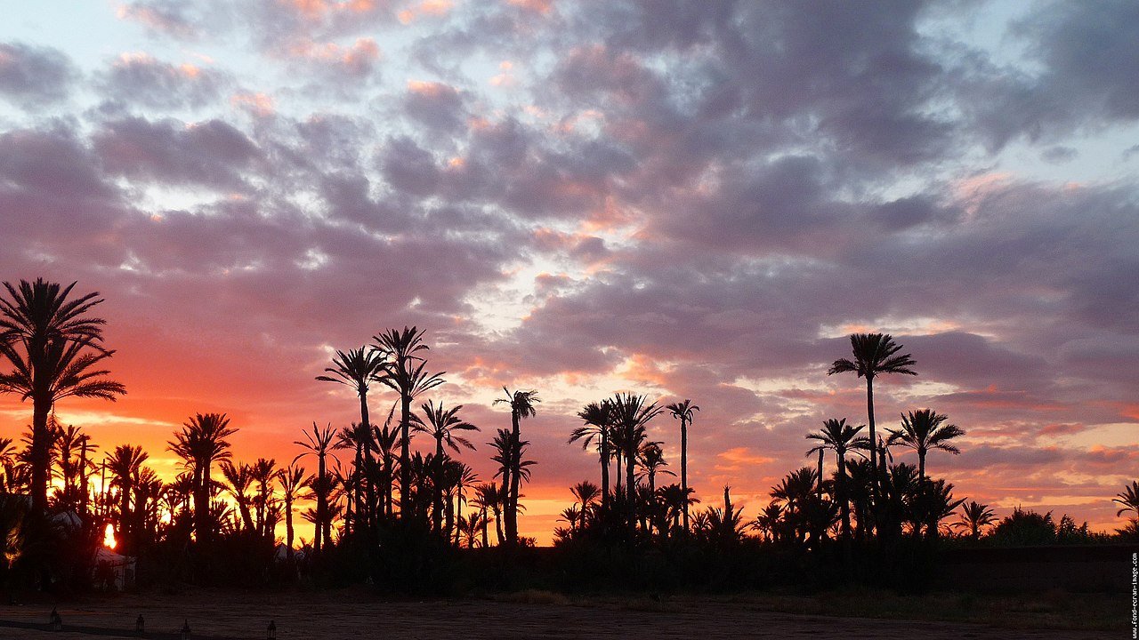 Marrakech medina zocos artesanía mochileros guía ruta 14 días Marruecos